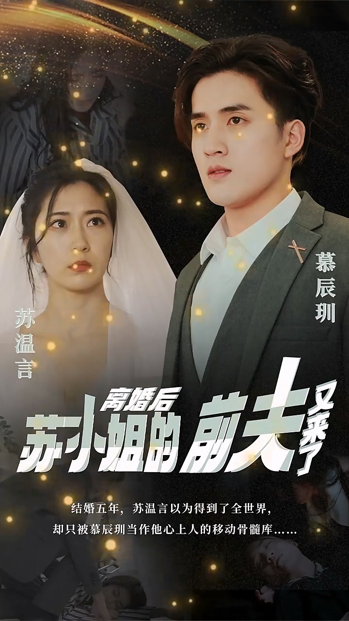 离婚后，苏小姐的前夫又来了 第51集