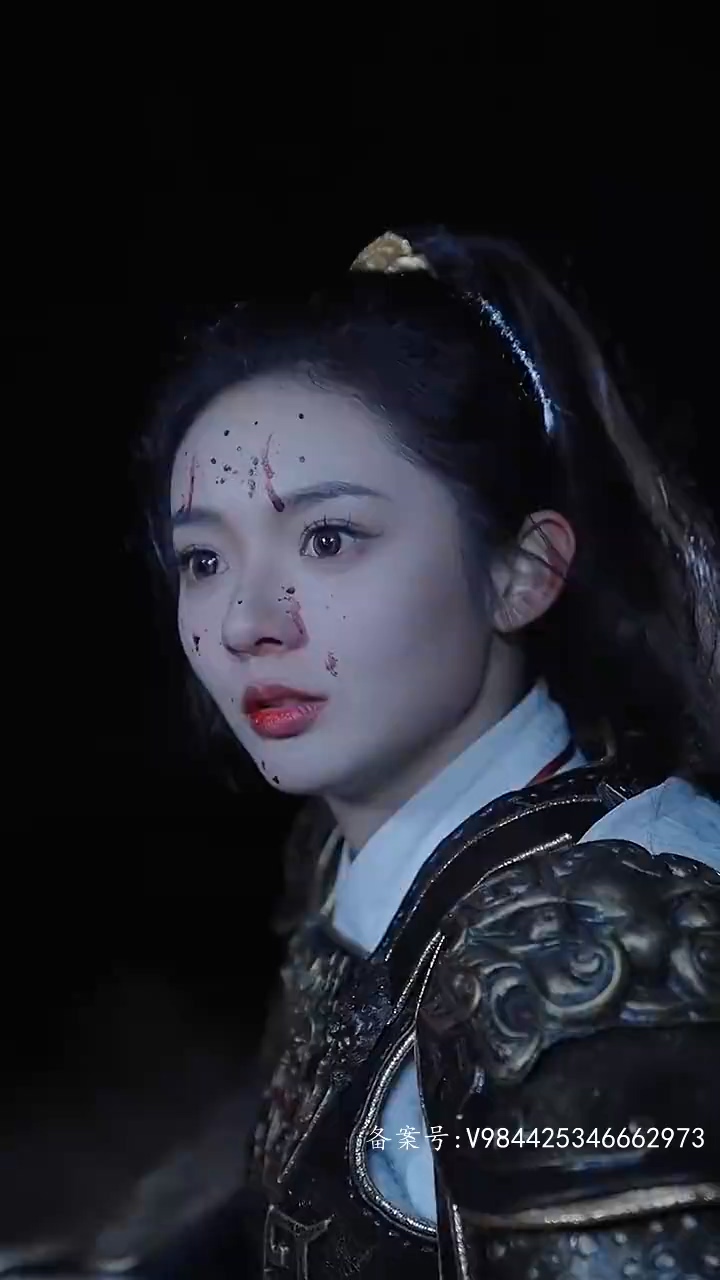 我的野蛮女将军 第65集