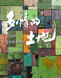 2024多情的土地(大结局)