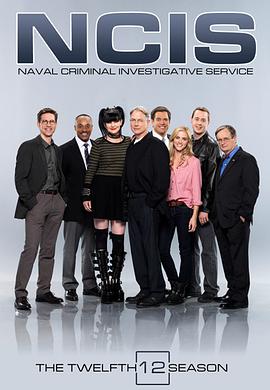 海军罪案调查处第十二季 第10集