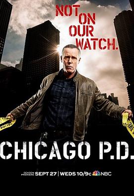 芝加哥警署第五季 第13集