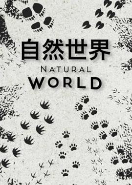 自然世界第一季 第01集