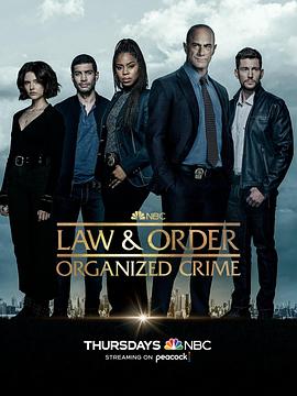 法律与秩序·组织犯罪第三季 第2集