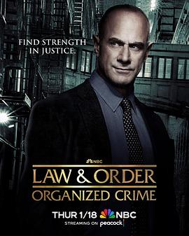 法律与秩序：组织犯罪第四季 第02集